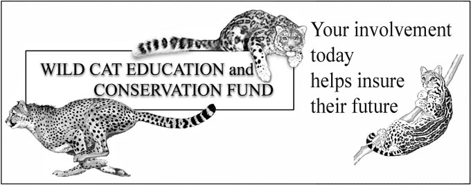 Wild Cat Education and Conservation Fund logo
