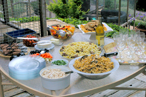 photo of buffet luncheon at Wild Cat Education and Conservation compound