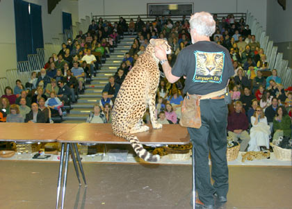 photo of Rob Dicely with Kamau, a cheetah at a WCE&CF public presentation