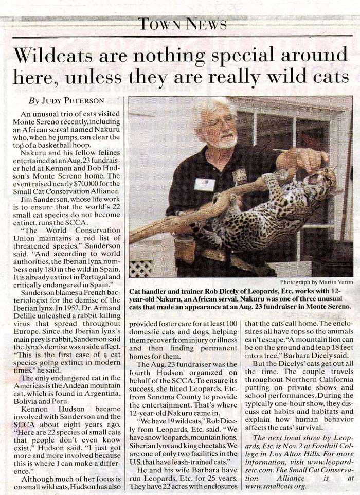 Newspaper article about Rob Dicely and Nakuru's participation in a fundraiser for the Small Cat Conservation Alliance
